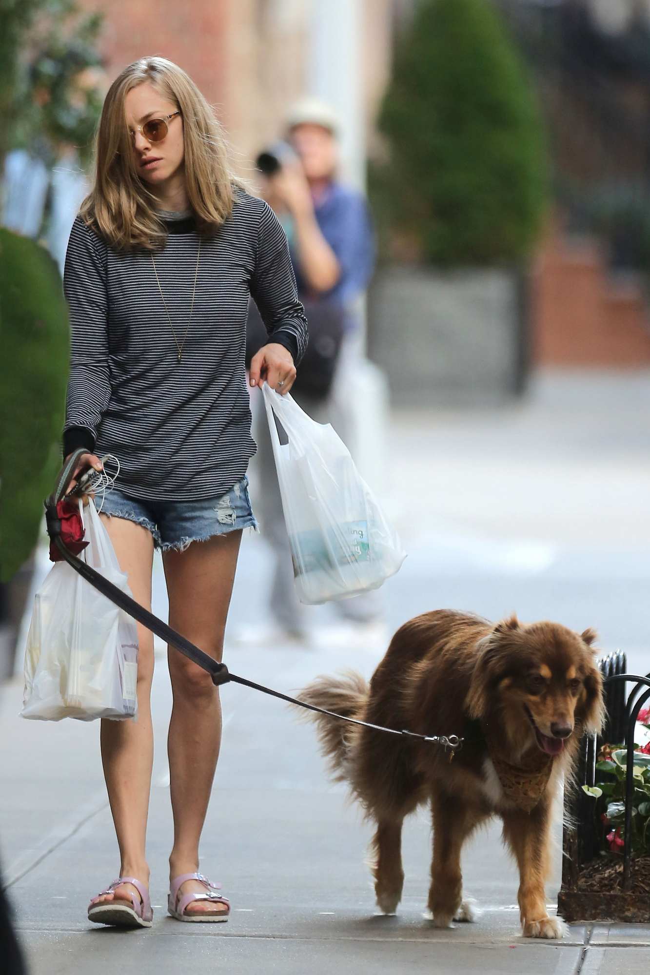 Amanda Seyfried With Short Jeans Strolling With Her Dog In Nyc