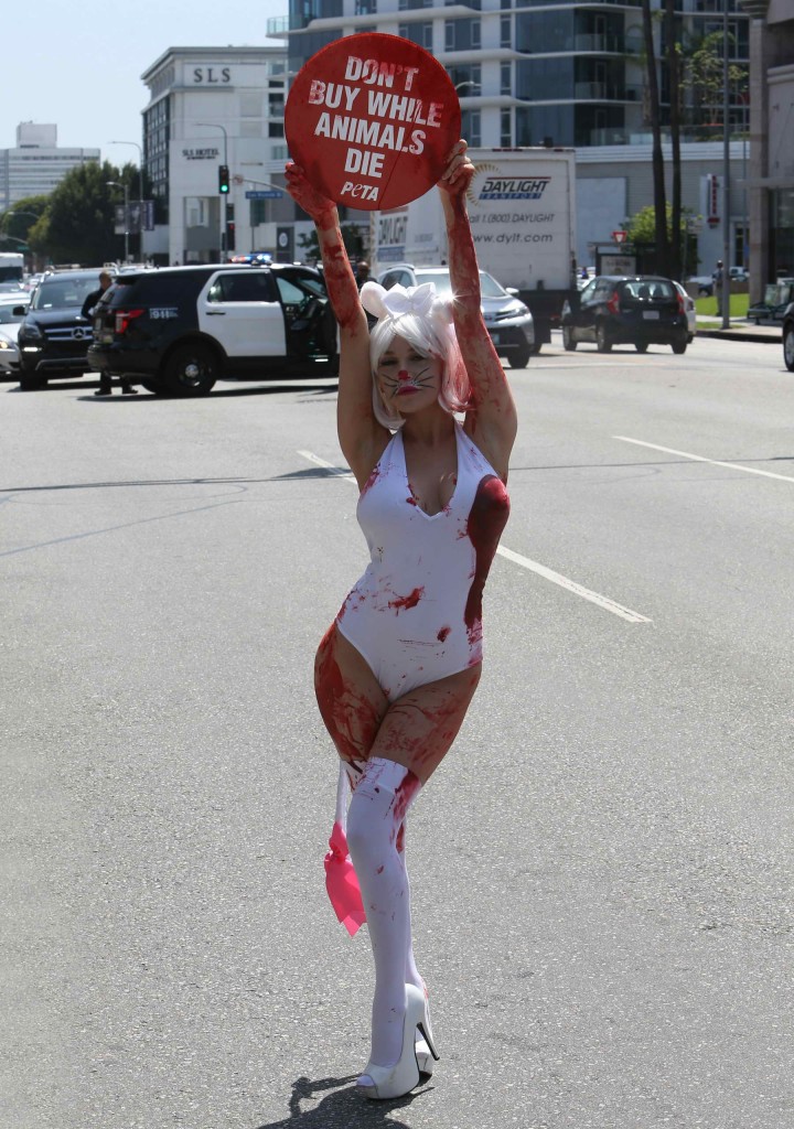Courtney Stodden Protests Outside Petsmart in Los Angeles-1