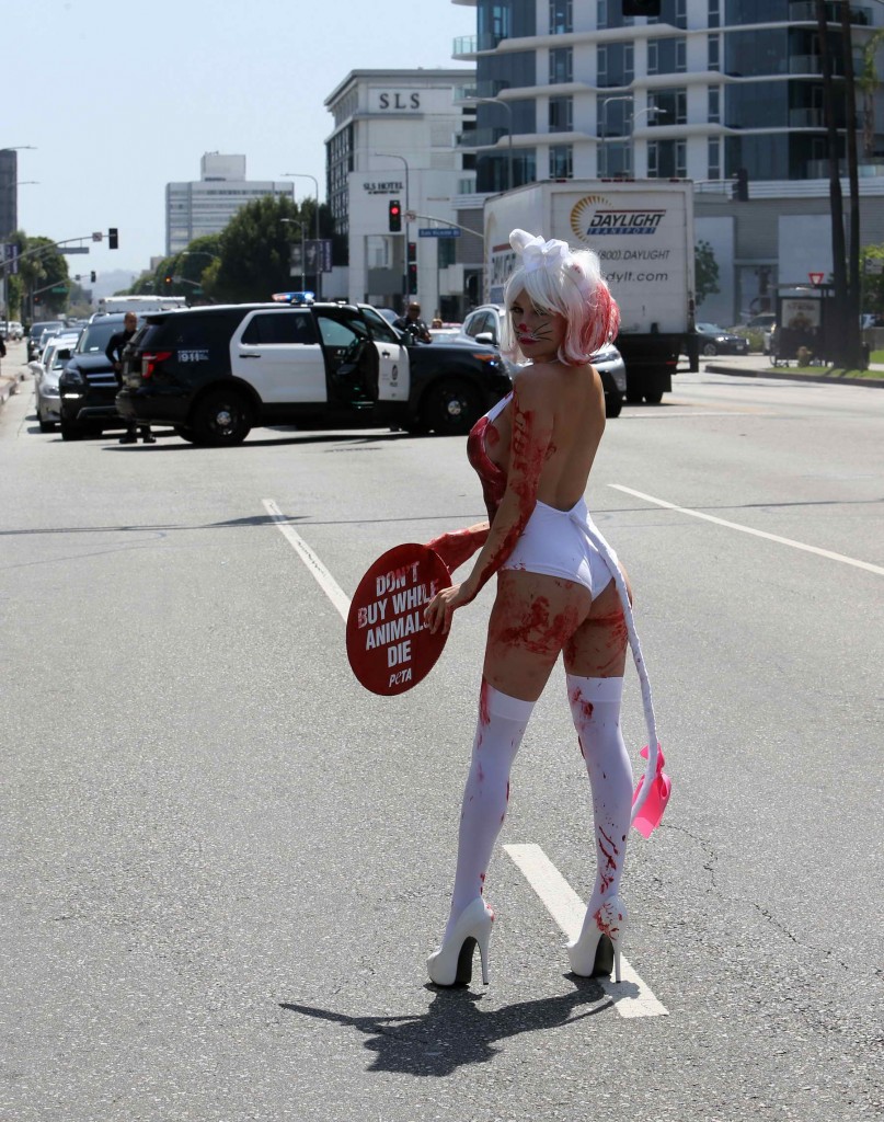 Courtney Stodden Protests Outside Petsmart in Los Angeles-4