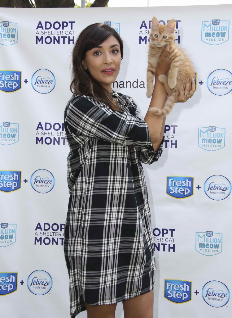Hannah Simone at Adopt a Shelter Cat Event in Beverly Hills-2