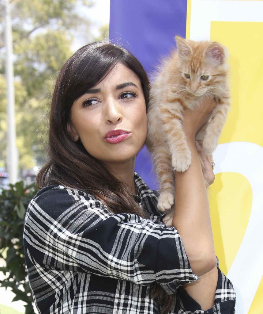 Hannah Simone at Adopt a Shelter Cat Event in Beverly Hills-3