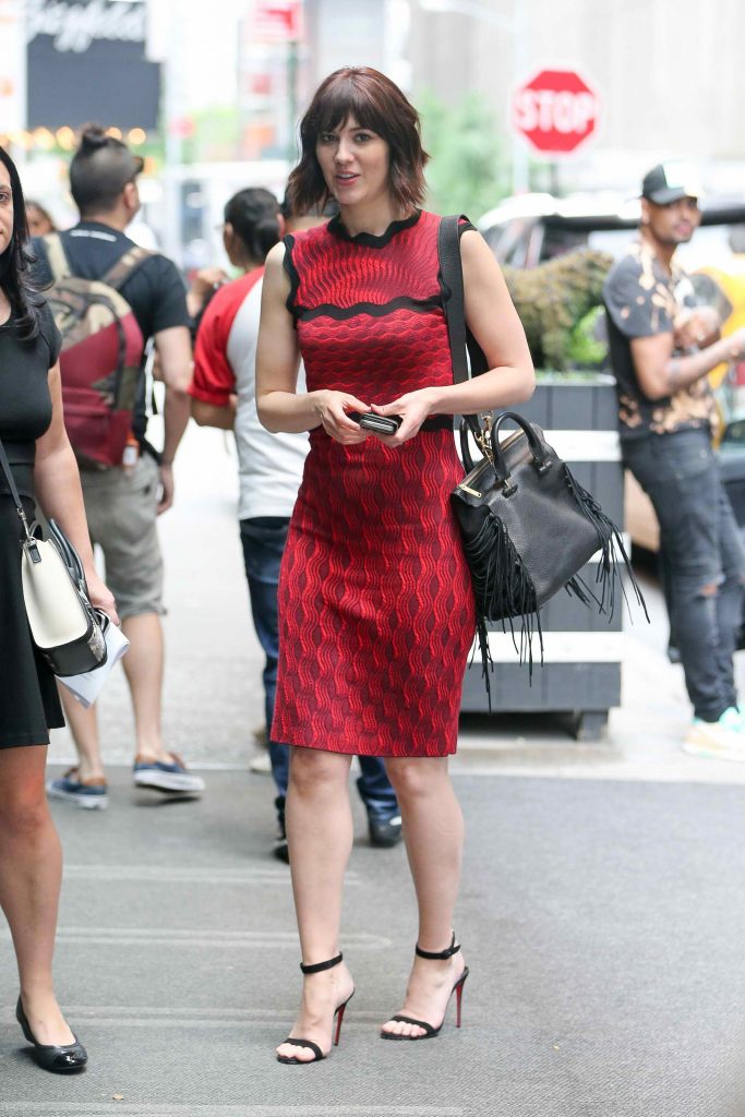 Mary Elizabeth Winstead Was Seen Out in New York City-2