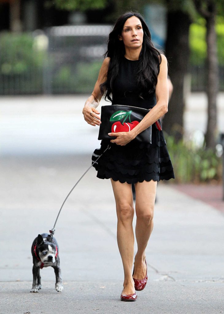Famke Janssen Walking Her Dog in New York City-2