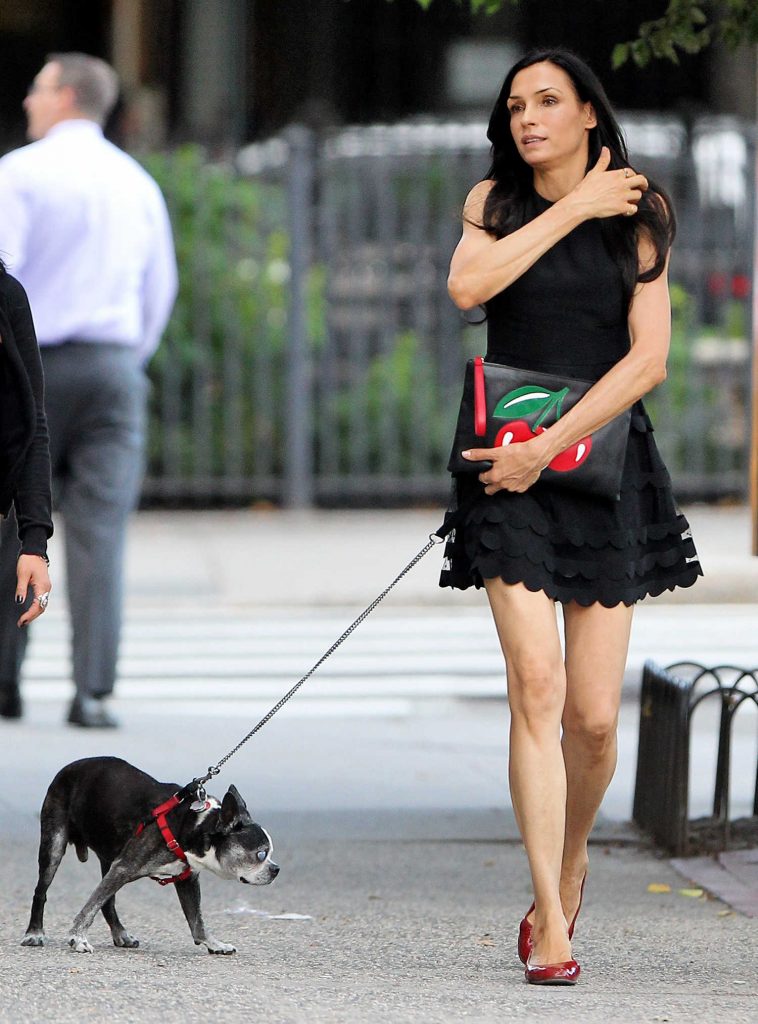 Famke Janssen Walking Her Dog in New York City-3