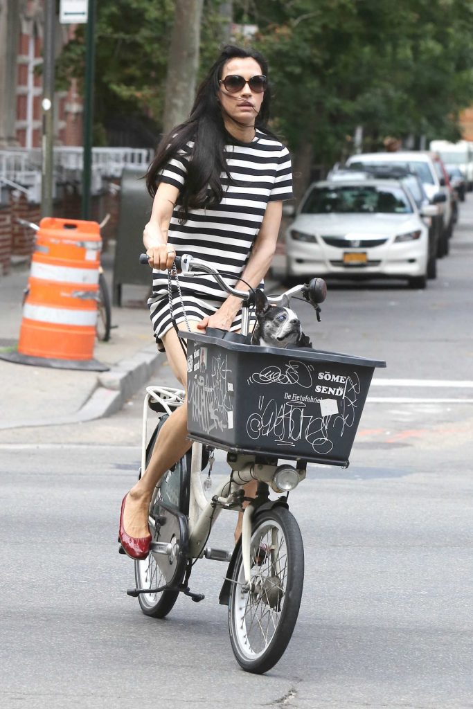 Famke Janssen Was Spotted Out in New York City-1