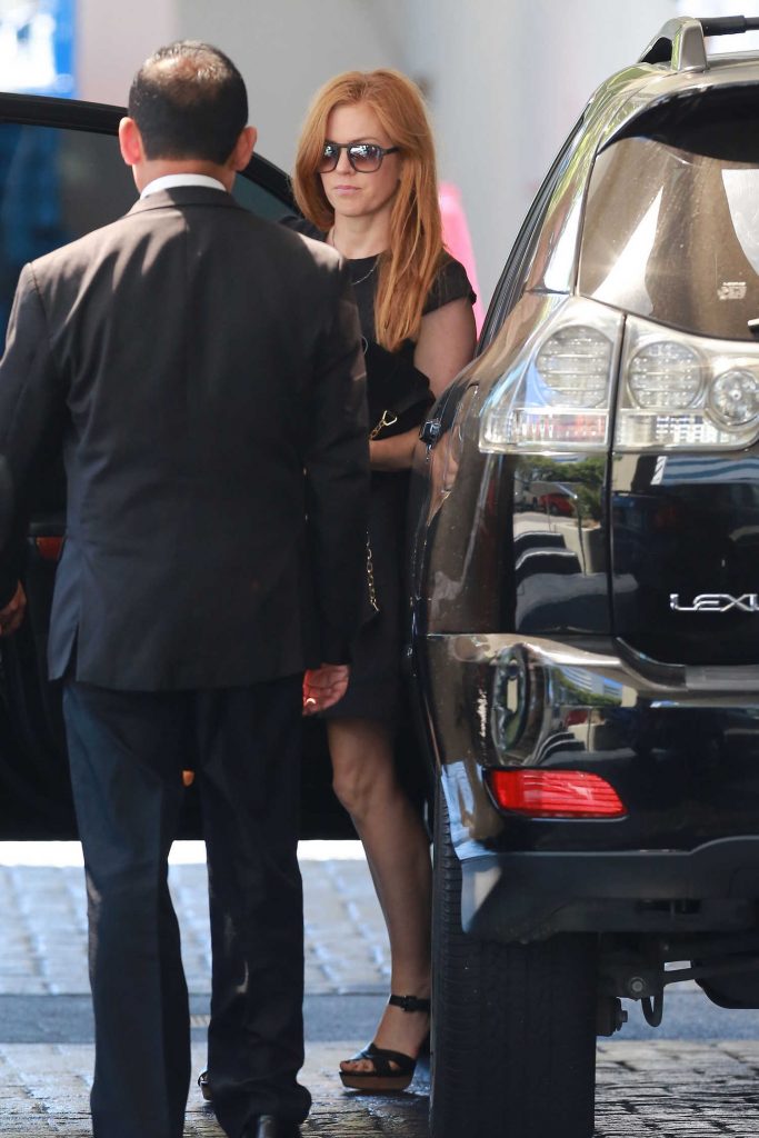 Isla Fisher Has a Business Meeting in Beverly Hills-1