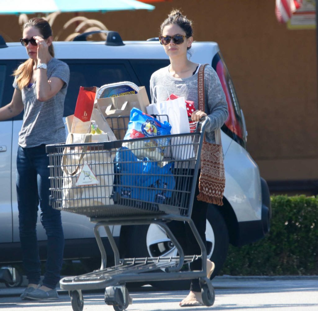 Rachel Bilson Goes Grocery Shopping in Los Angeles-2