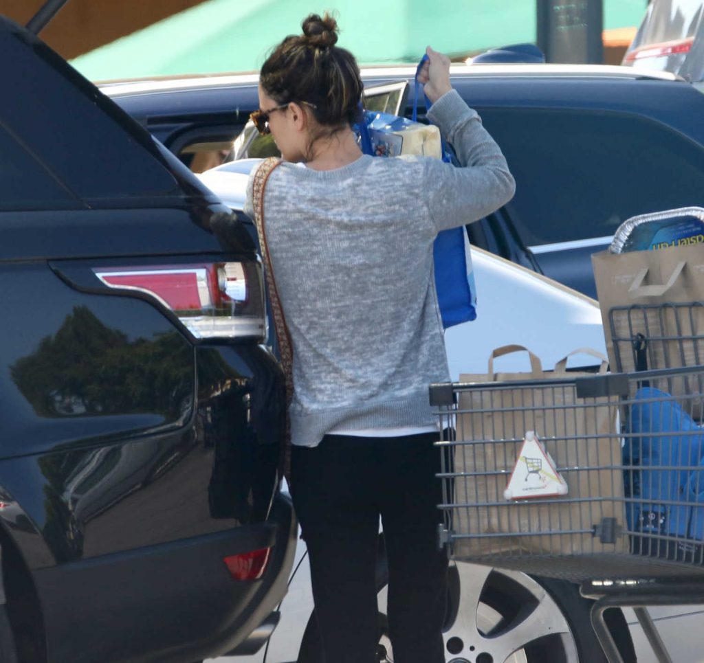 Rachel Bilson Goes Grocery Shopping in Los Angeles-4