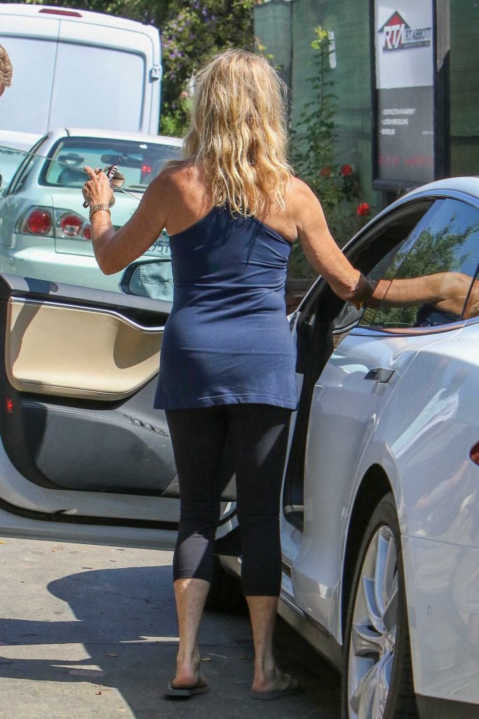 Goldie Hawn Was Seen Out in Los Angeles-5
