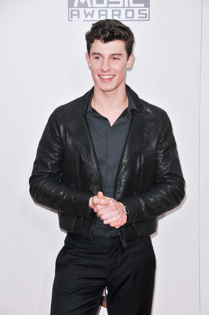 Shawn Mendes at the 2016 American Music Awards at the Microsoft Theater in Los Angeles-3