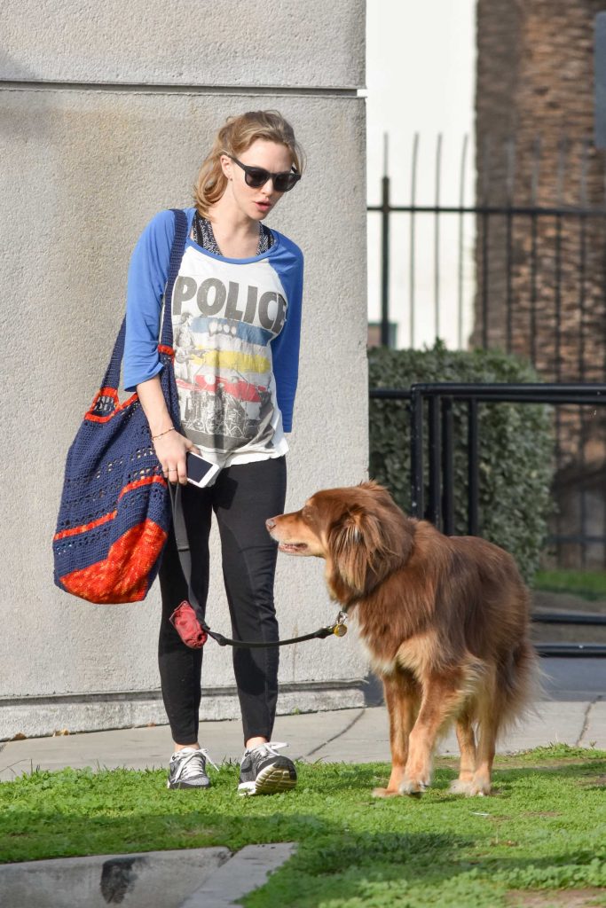 Amanda Seyfried Was Seen With Her Dog Finn in Los Angeles-1