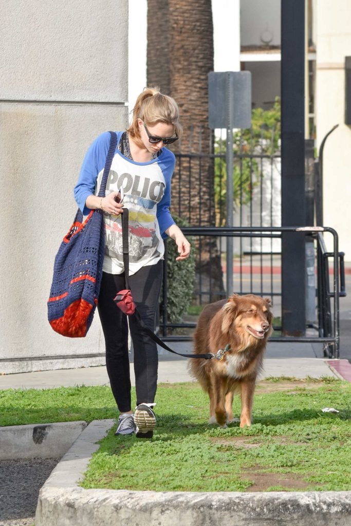 Amanda Seyfried Was Seen With Her Dog Finn in Los Angeles-2