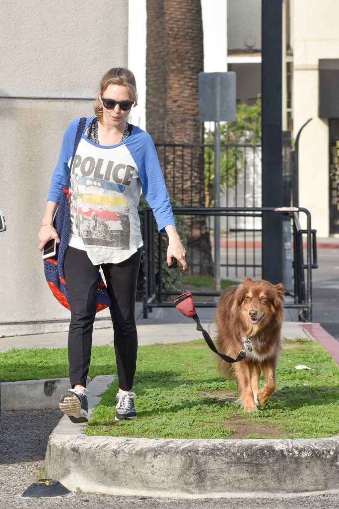 Amanda Seyfried Was Seen With Her Dog Finn in Los Angeles-3