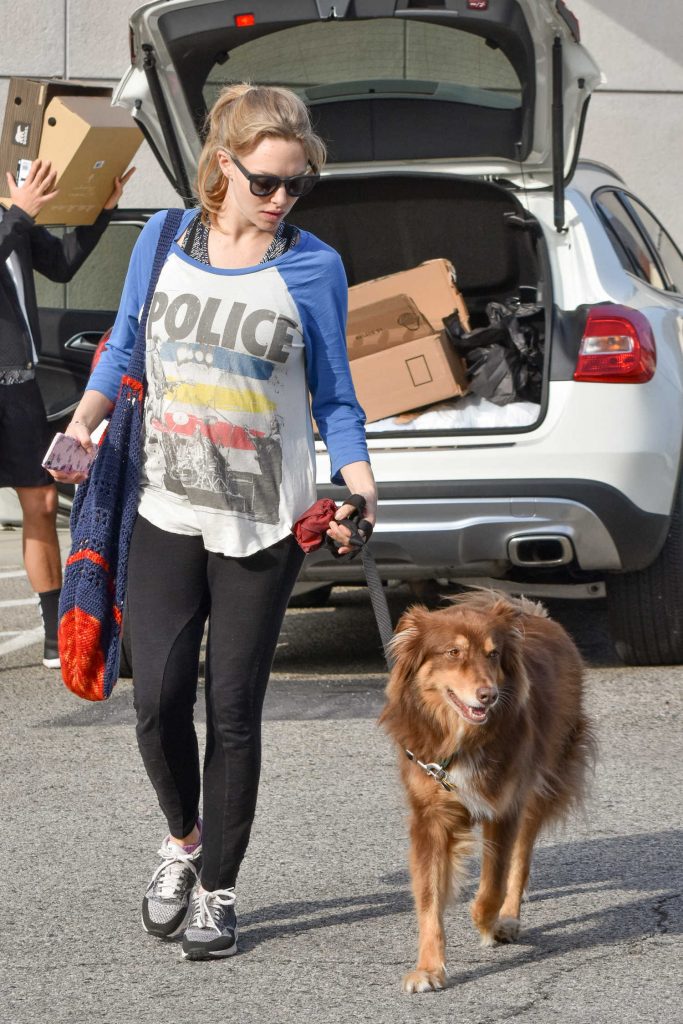 Amanda Seyfried Was Seen With Her Dog Finn in Los Angeles-4