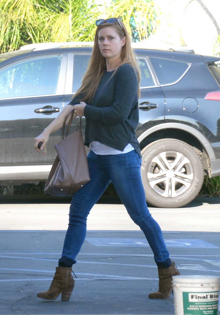 Amy Adams Goes Shopping in West Hollywood-1