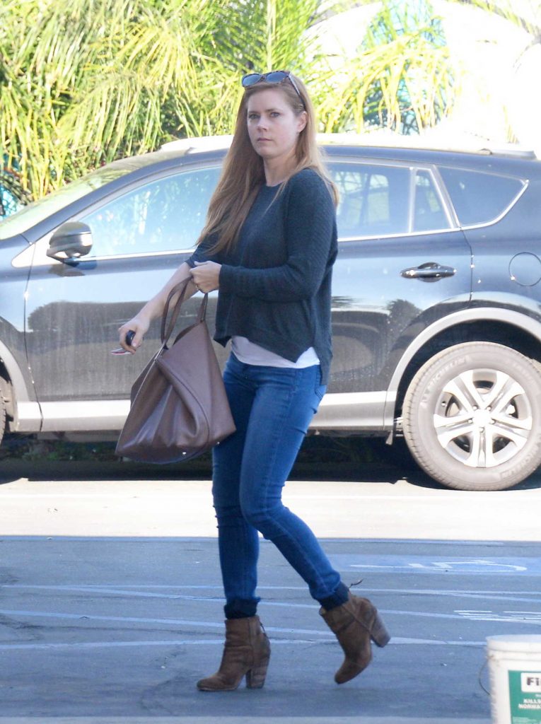 Amy Adams Goes Shopping in West Hollywood-2