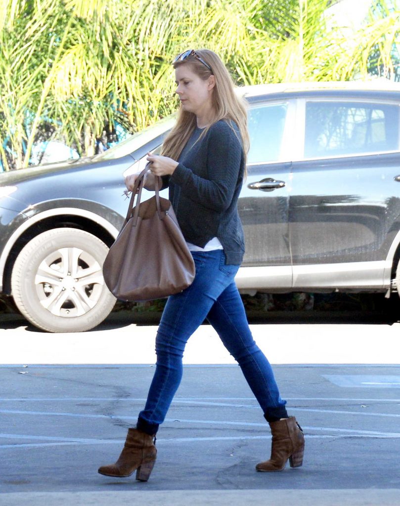 Amy Adams Goes Shopping in West Hollywood-3