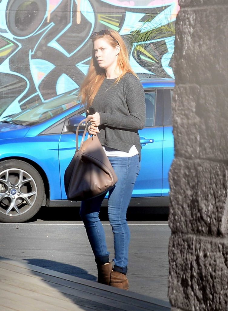 Amy Adams Goes Shopping in West Hollywood-4