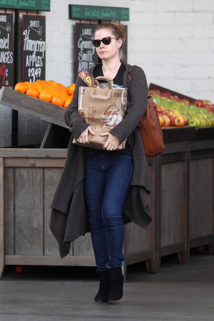 Amy Adams Leaves Bristol Farms in Beverly Hills-1