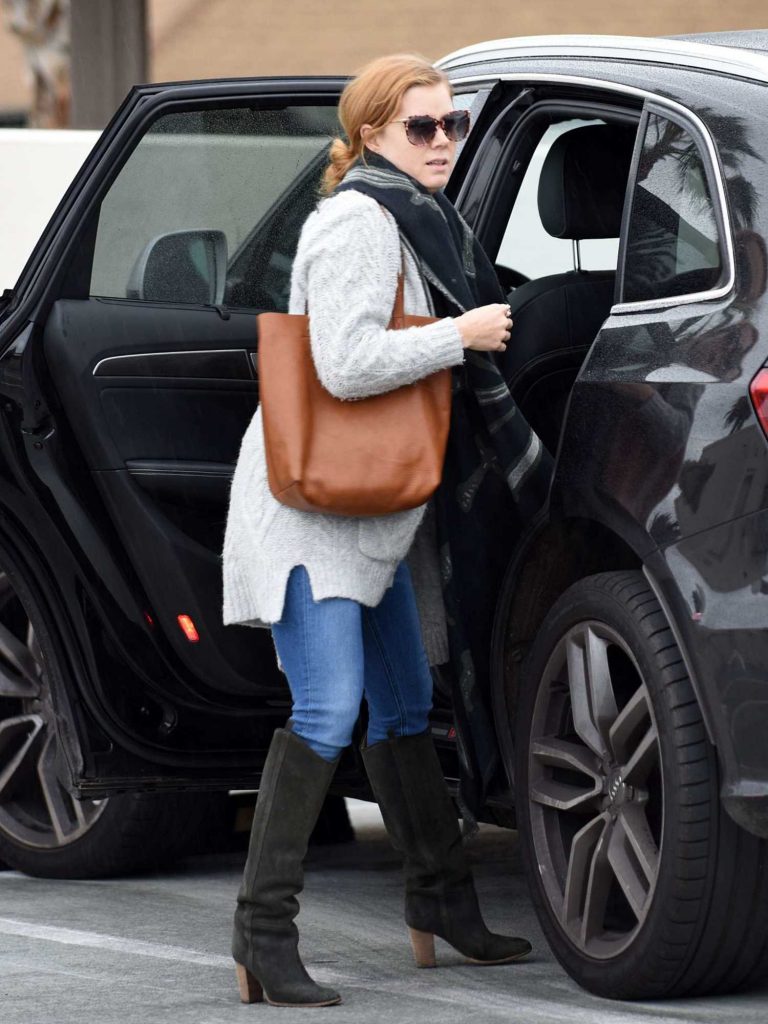 Amy Adams Out Shopping in Los Angeles-2