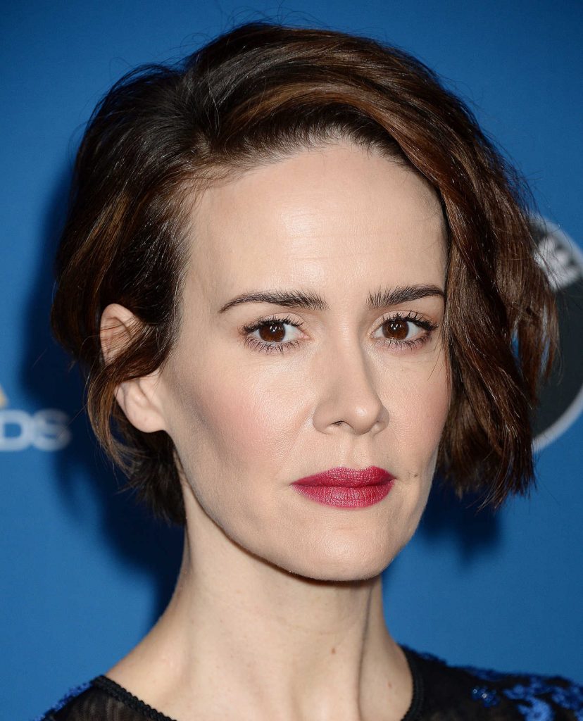 Sarah Paulson at the 69th Annual Directors Guild Awards in Los Angeles-4