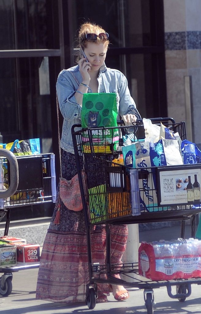Amy Adams Goes Grocery Shopping in Beverly Hills-1