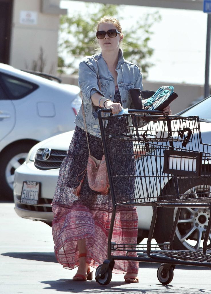 Amy Adams Goes Grocery Shopping in Beverly Hills-2