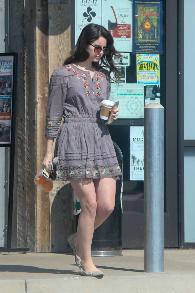 Lana Del Rey Wears a Short Dress Out in Malibu-1