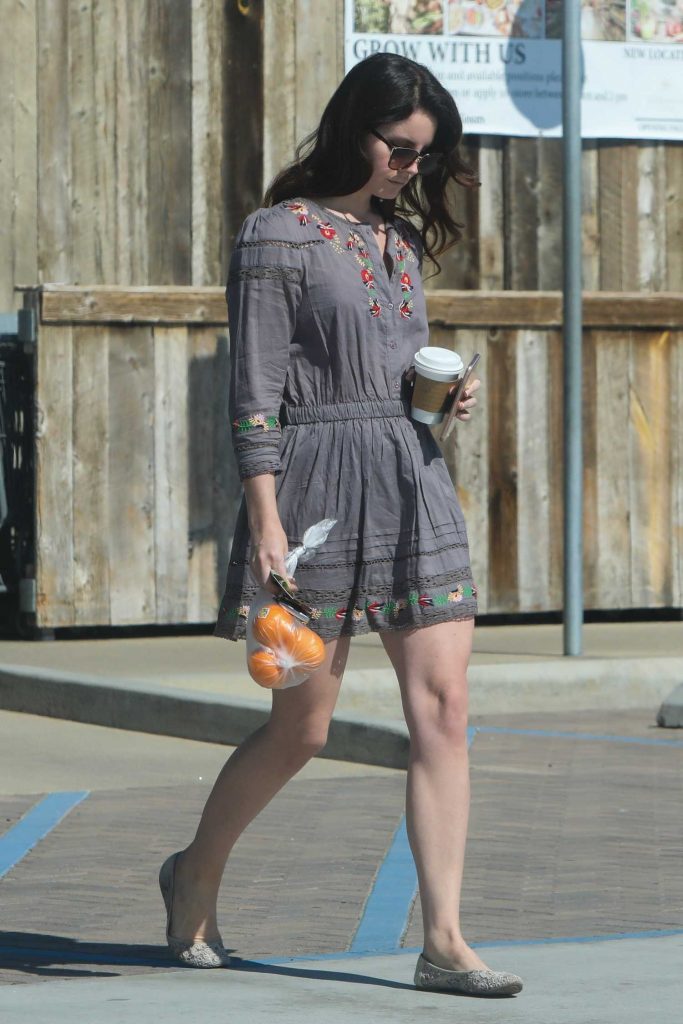 Lana Del Rey Wears a Short Dress Out in Malibu-4