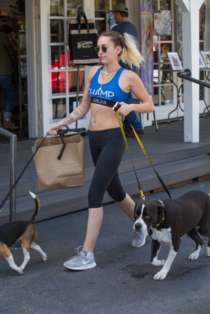 Miley Cyrus Walks Her Dogs Out in Calabasas-2