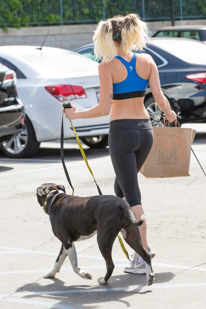 Miley Cyrus Walks Her Dogs Out in Calabasas-5