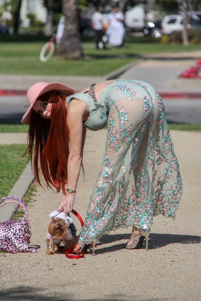 Phoebe Price Takes Her Dog to the Bunny House at the Grove in Hollywood-3