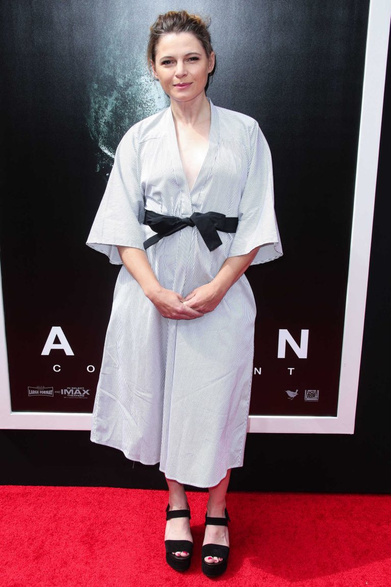 Amy Seimetz – Celeb Donut