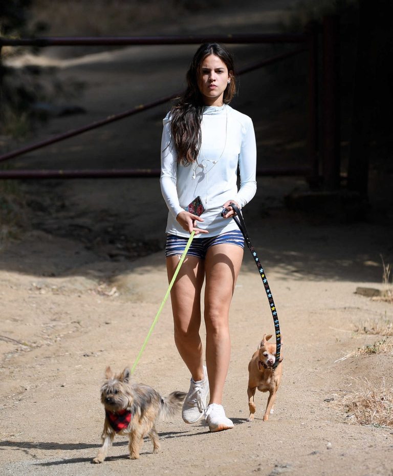 Eiza Gonzalez Walkes Her Dogs in Los Angeles – Celeb Donut