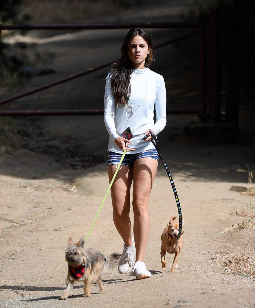 Eiza Gonzalez Walkes Her Dogs in Los Angeles-1
