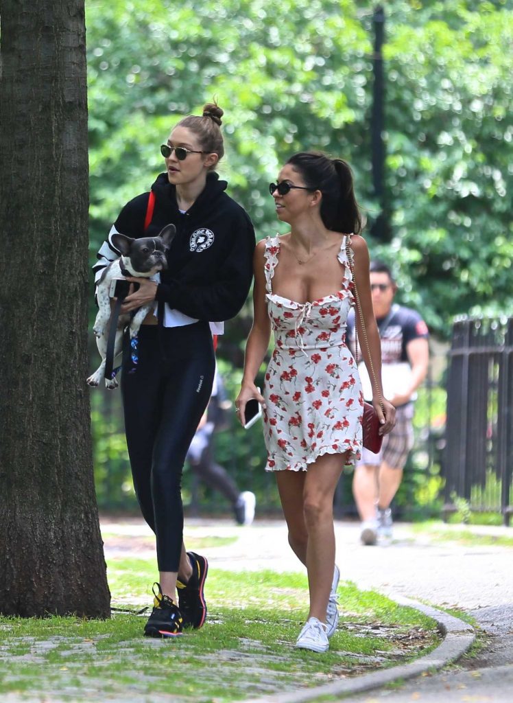 Gigi Hadid Was Seen With Her Dog in New York City-2