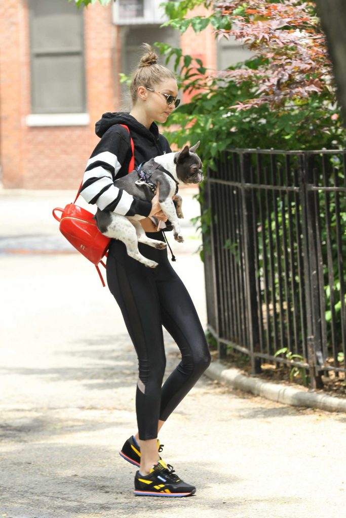 Gigi Hadid Was Seen With Her Dog in New York City-4