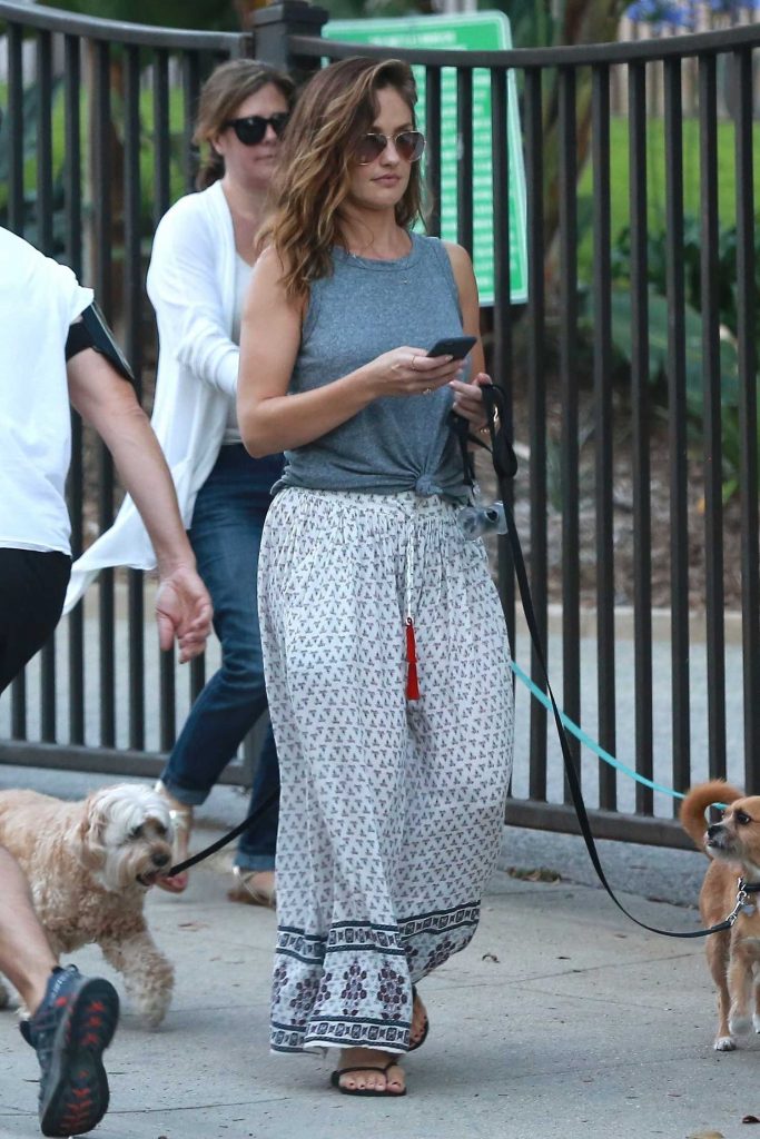 Minka Kelly Goes on a Stroll With Her Friend and Her Dogs in Hollywood-1