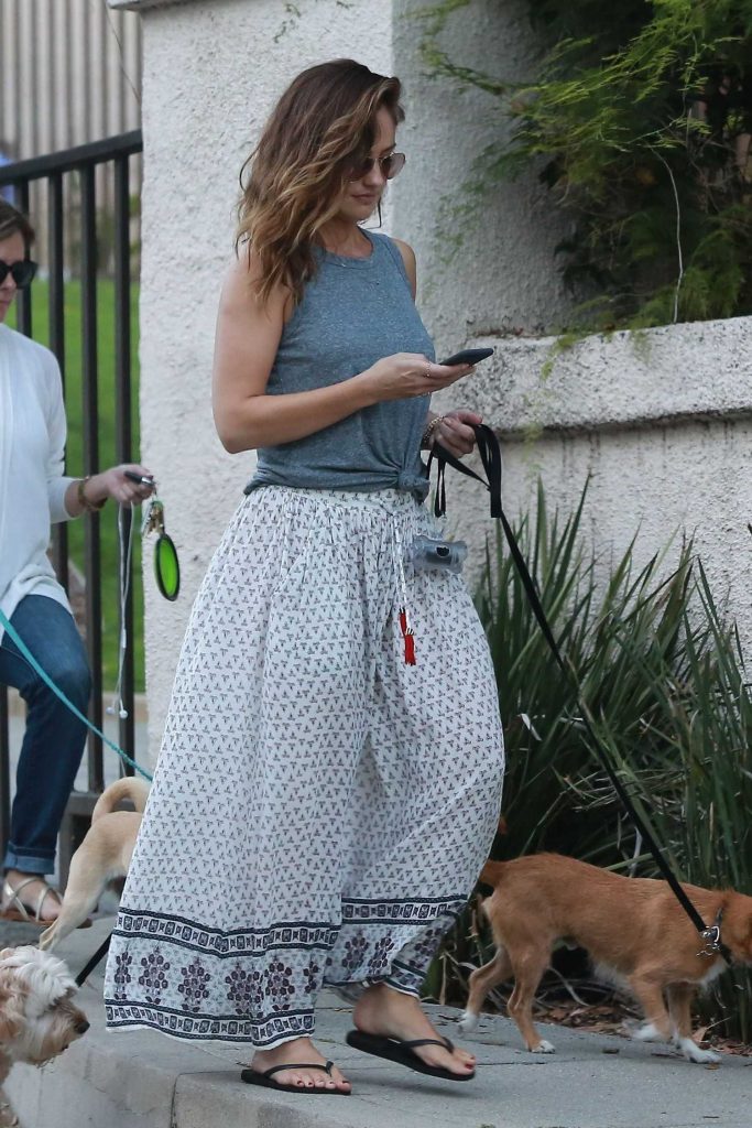Minka Kelly Goes on a Stroll With Her Friend and Her Dogs in Hollywood-3