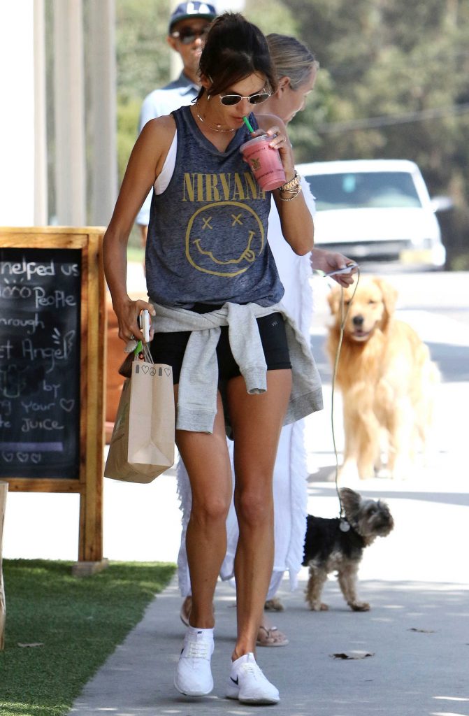 Alessandra Ambrosio Was Seen After a Workout in LA-3