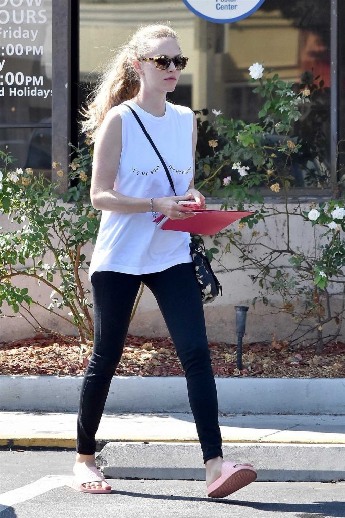 Amanda Seyfried Was Spotted Out in West Hollywood-1