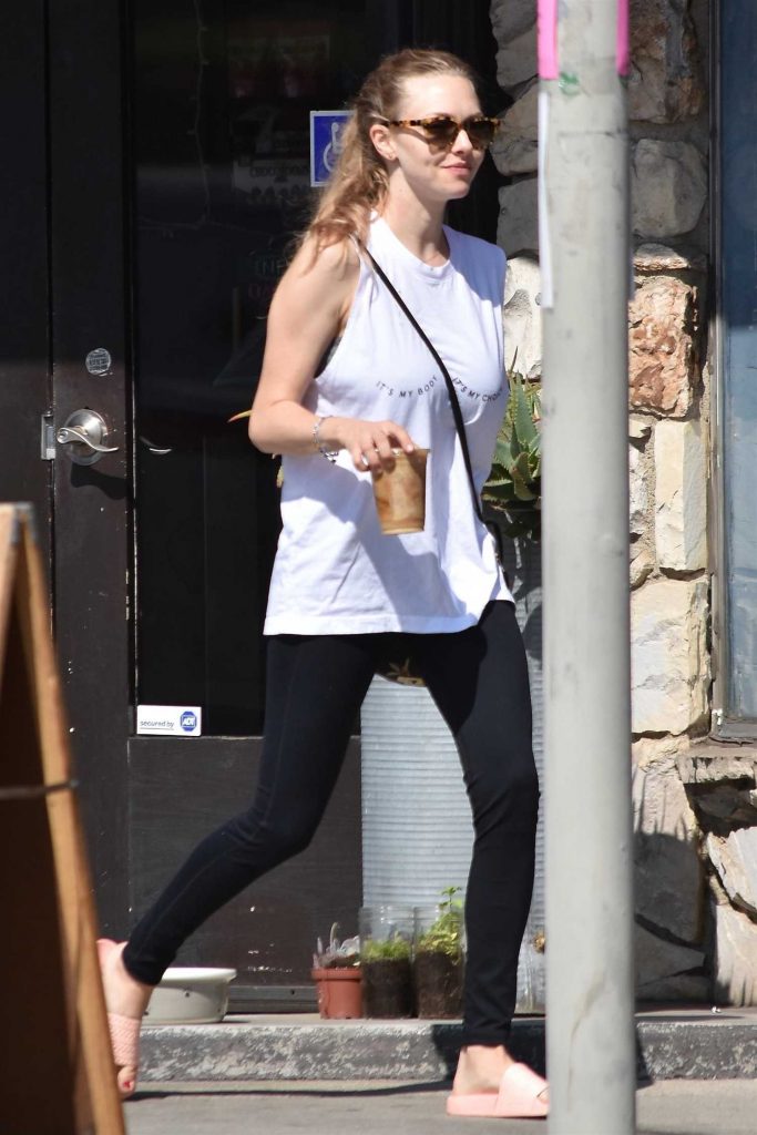 Amanda Seyfried Was Spotted Out in West Hollywood-5