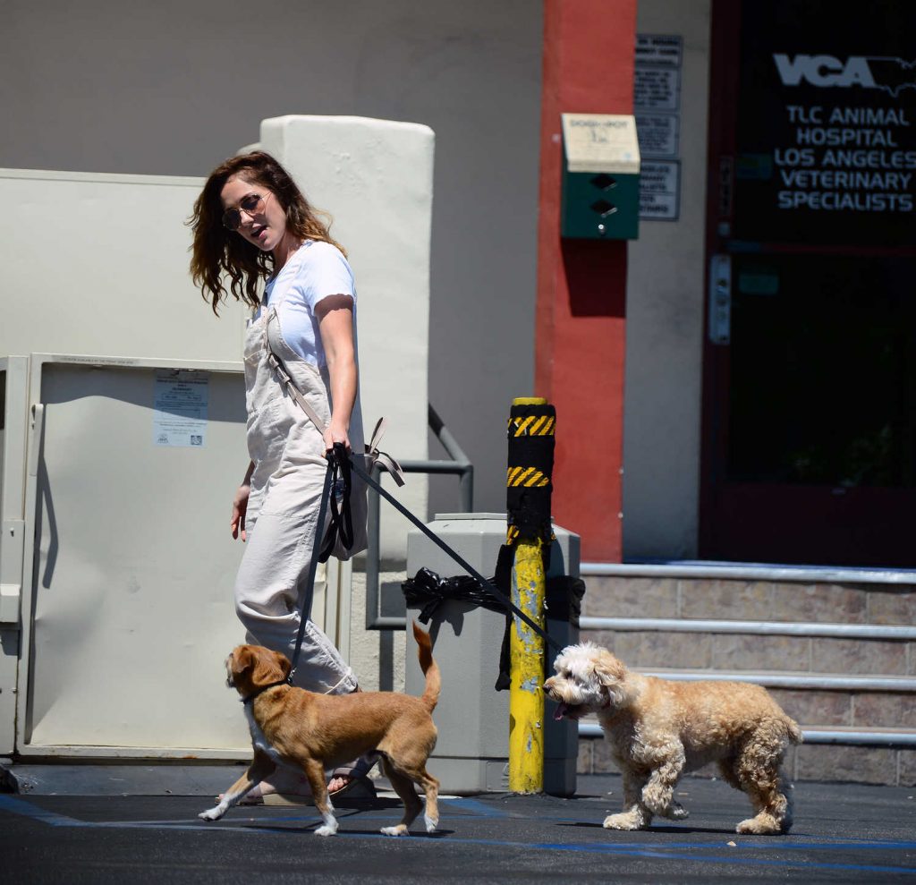 Minka Kelly Leaves Local Vet With Her Dogs Fred and Chewy in LA-5