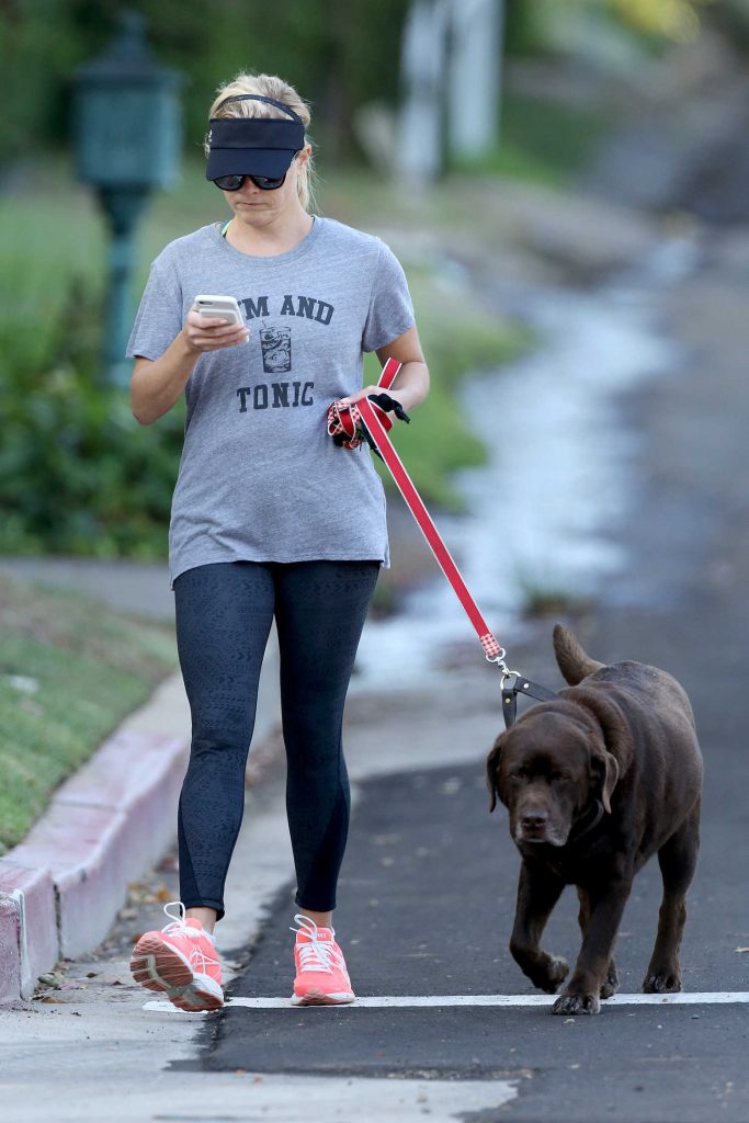 Reese Witherspoon Walkes Her Dog in Los Angeles 09/08/2017-1