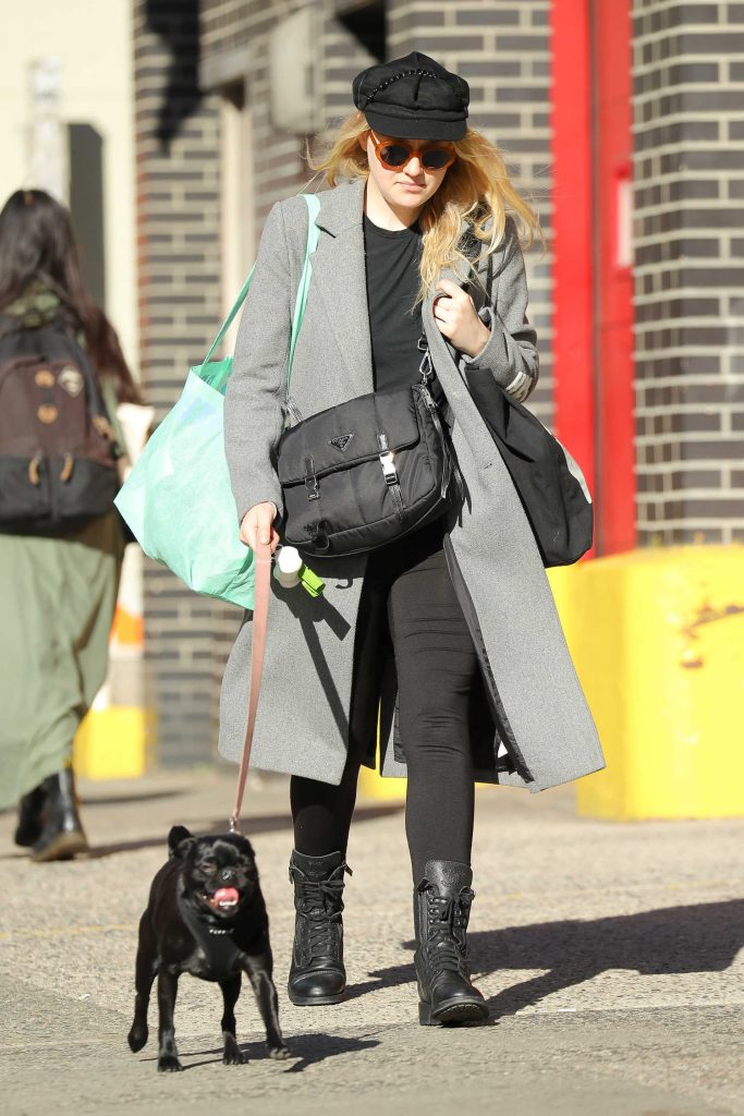 Dakota Fanning Walks Her Dog Out in NYC-2