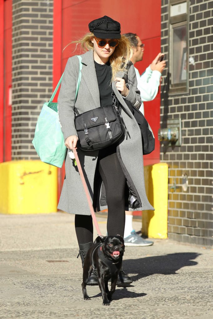 Dakota Fanning Walks Her Dog Out in NYC-4