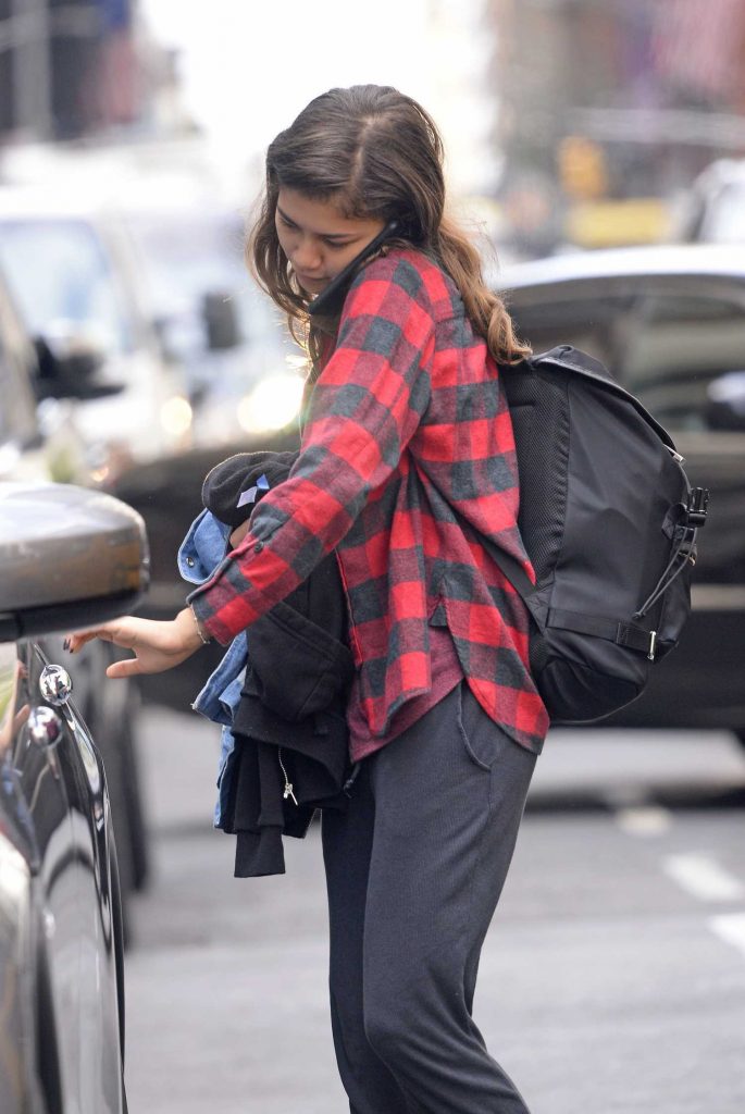 Zendaya Wears a Red Plaid Shirt Out in New York-2