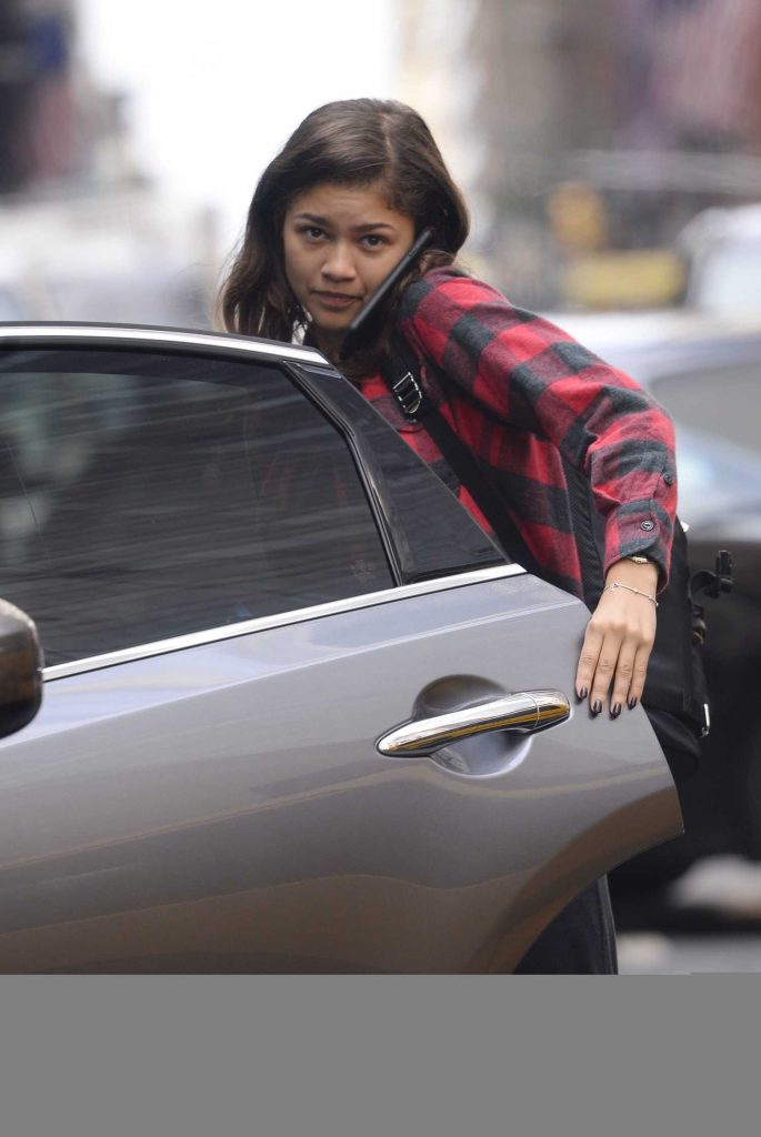 Zendaya Wears a Red Plaid Shirt Out in New York-3