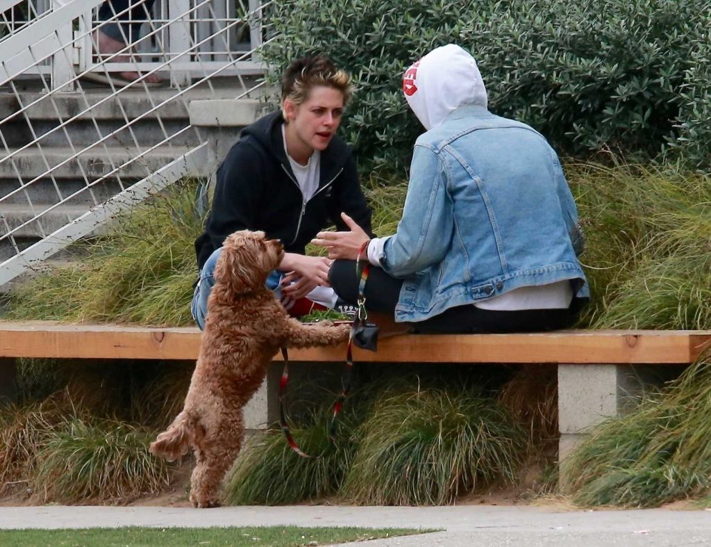 Kristen Stewart Was Seen at a Dog Park in Los Feliz-3