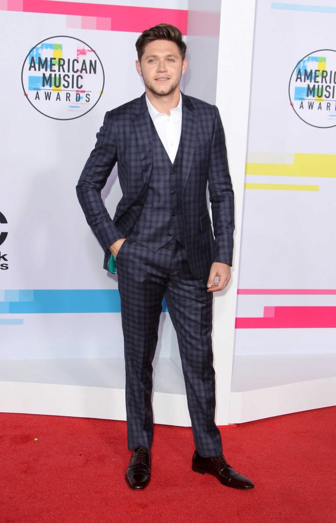 Niall Horan at 2017 American Music Awards at the Microsoft Theater in Los Angeles-2